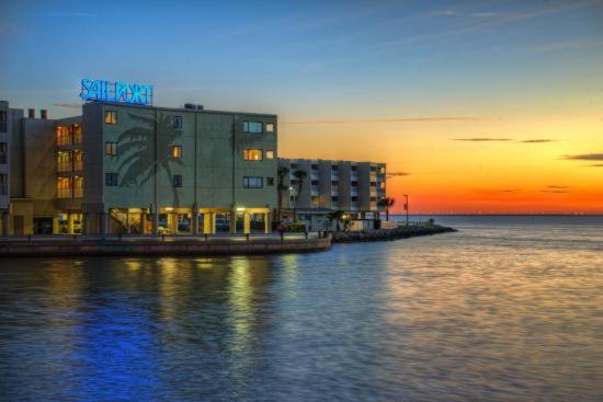 410-Gorgeous Views, Waterfront, Wifi, Pool And Close To Bucs Stadium 坦帕 外观 照片